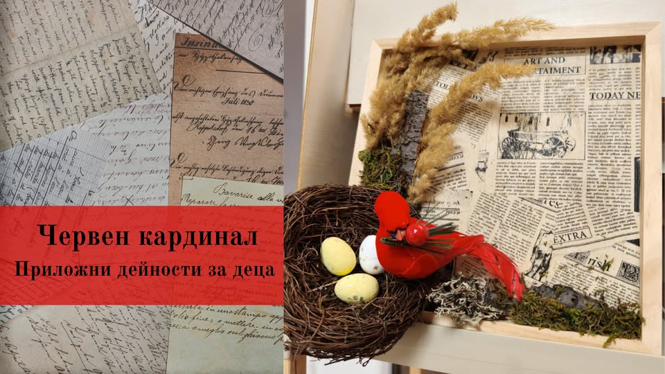Червен кардинал приложни дейности за дец...