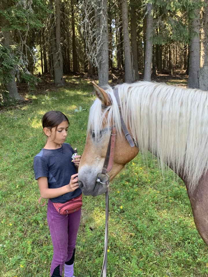 Летен лагер в конна база Аспарух Село Хв...