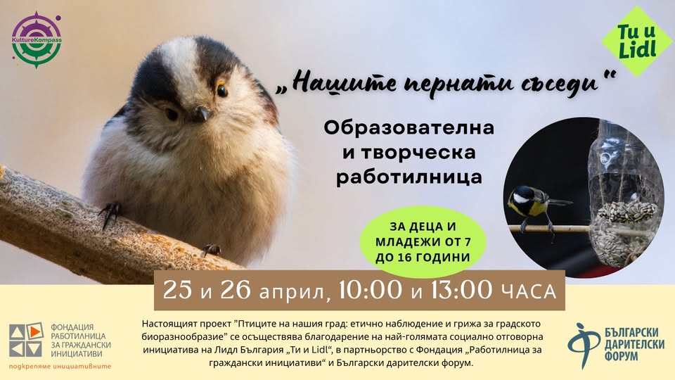 творческа работилница Птици