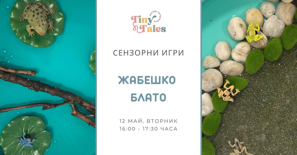 Сензорни игри „Жабешко блато“