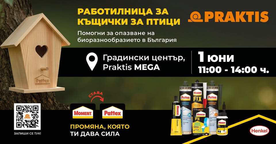 работилницата къщичка за птици