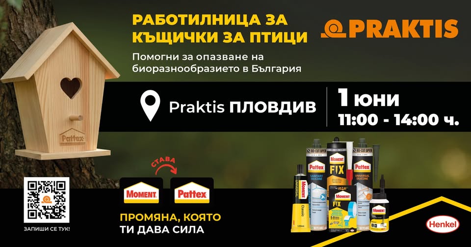 Работилница Къщички за птици с Praktis &...