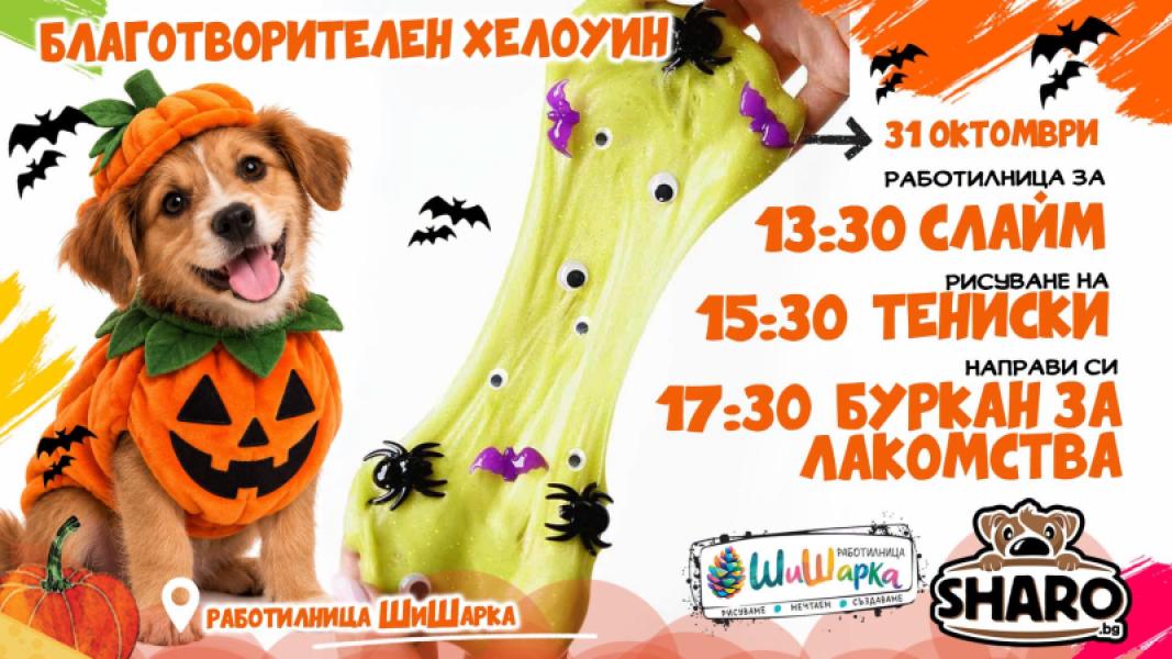 Благотворителен Хелоуин за Шаро